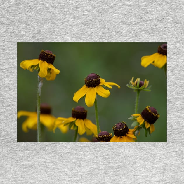 Yellow Wildflower Dancers by Debra Martz